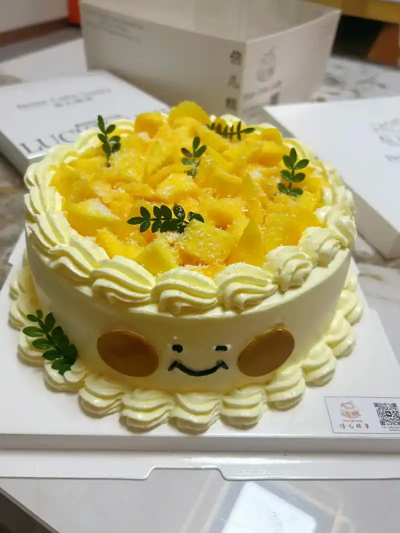 芒果多肉生日蛋糕