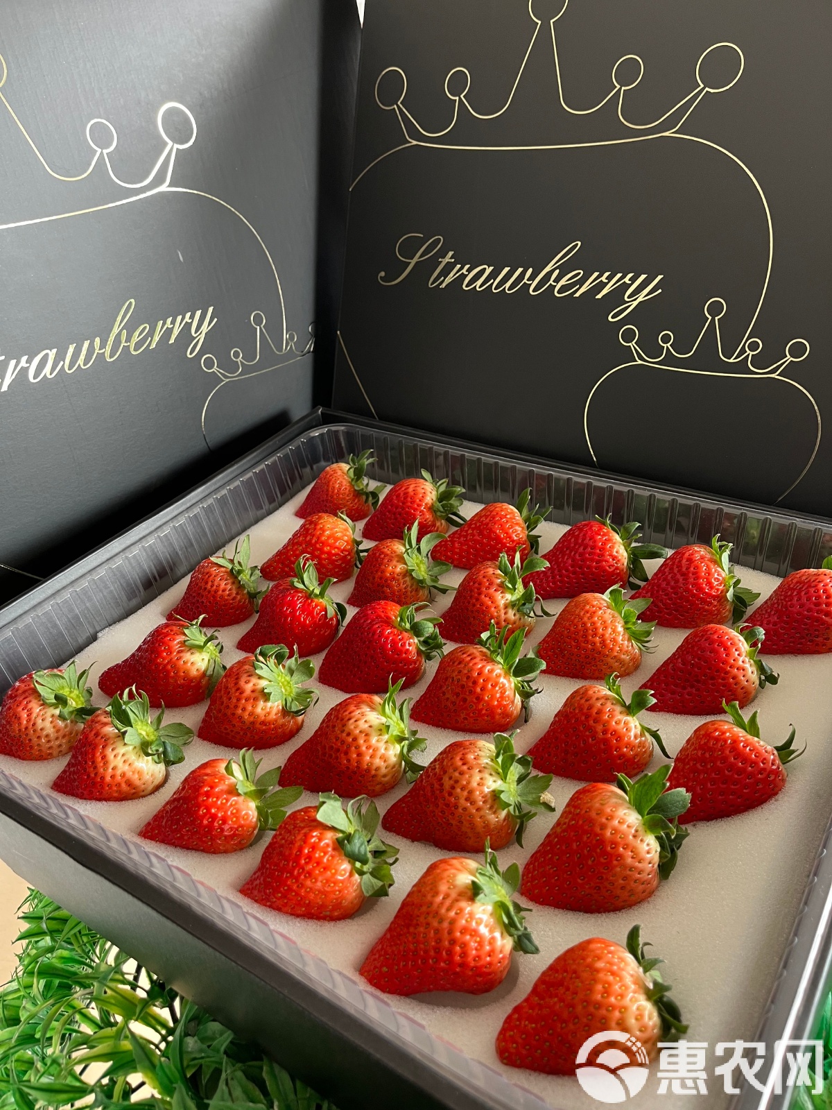 丹东99草莓礼盒装